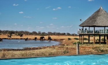 Tsavo East & West: A Complete Safari Adventure Through Kenya’s Red Elephant Kingdom