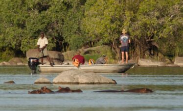 Kafue National Park: A Jewel of Zambian Wilderness